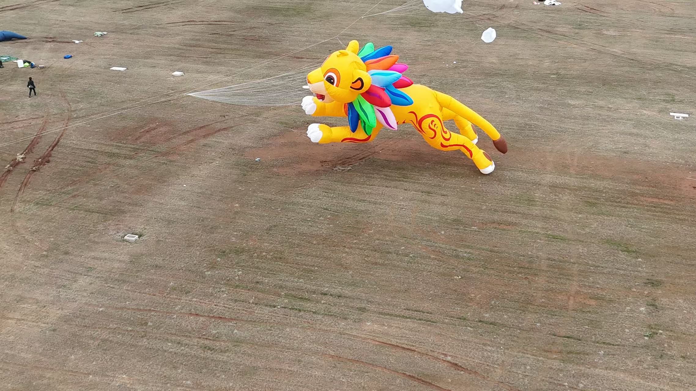 深圳市品牌风筝定制儿童风筝定制 - 排名